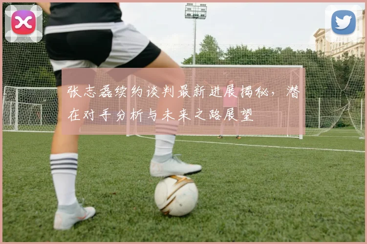 张志磊续约谈判最新进展揭秘，潜在对手分析与未来之路展望